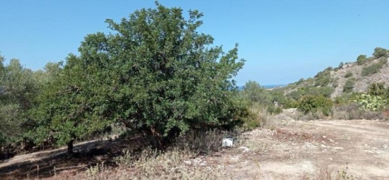 Episkopi bei Rethymno Kreta, Episkopi: Wunderschönes Grundstück mit Meerblick und Baugenehmigung zu verkaufen Grundstück kaufen